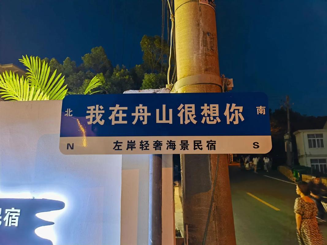 你问我要去向何方，我指着大海的方向  第1张