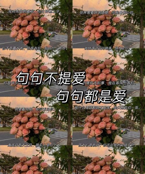 句句不提爱，句句都是爱，最美情话30句，有补充的吗？  第1张