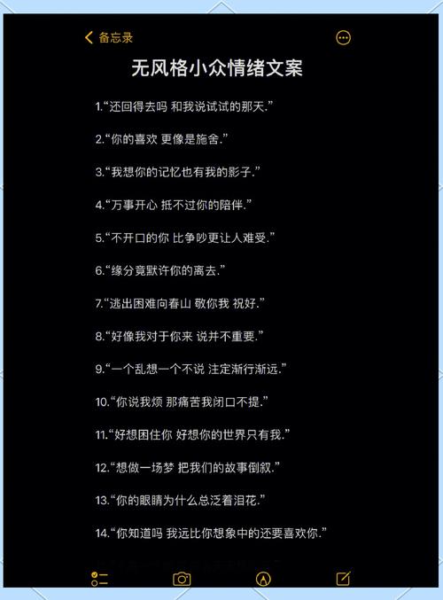 高级又小众的情绪短句文案  第1张