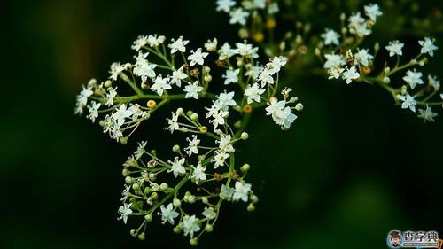 风吹起流年  第1张