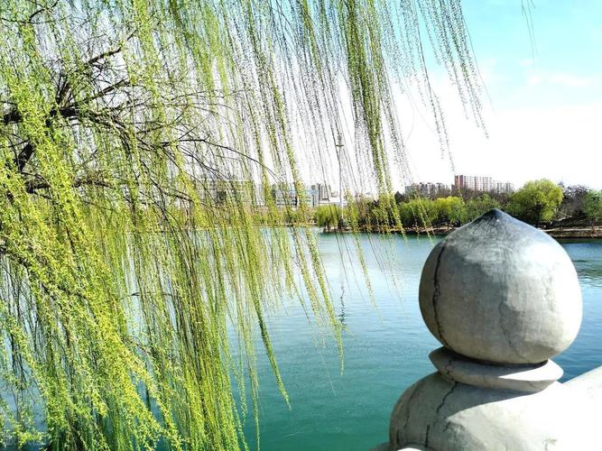 秋日的春风  第1张