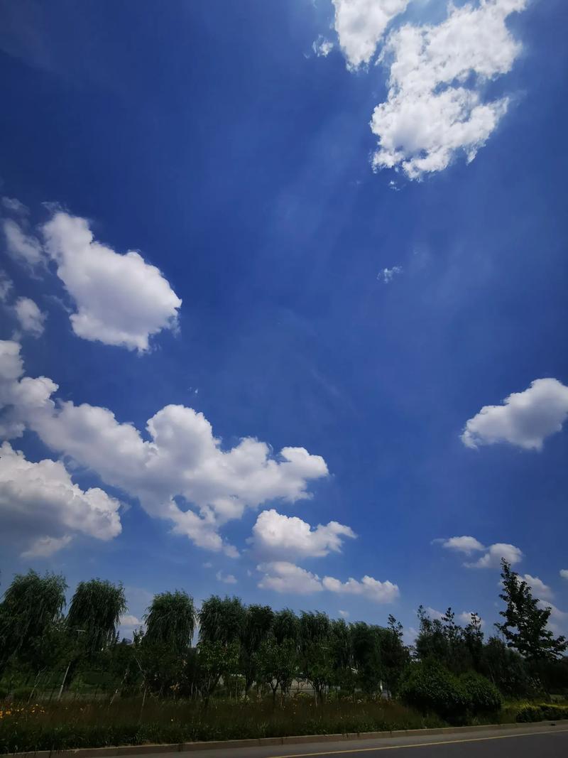 想念——远方  第1张