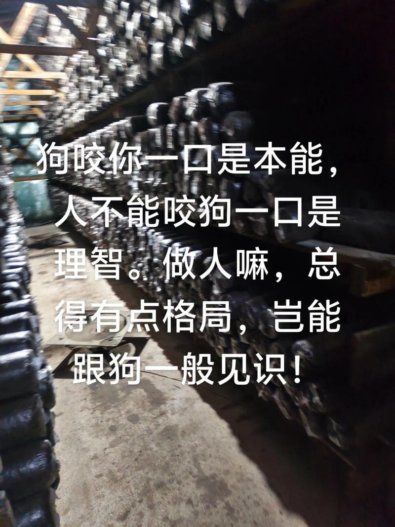 你的蛮狠逻辑  第1张