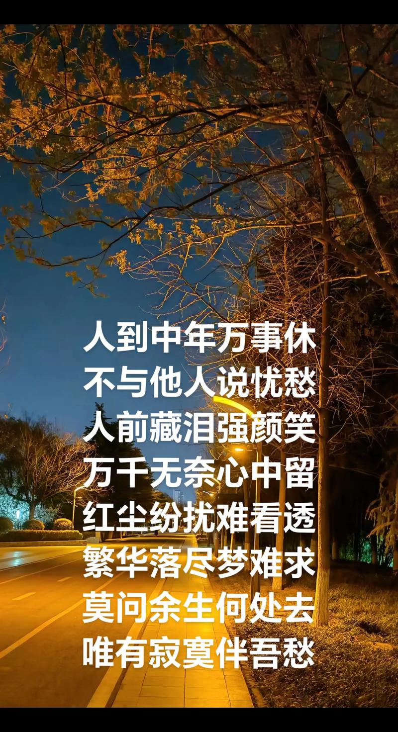 忧愁苦恼的日子总会过去，轻盈畅快正要到来  第1张