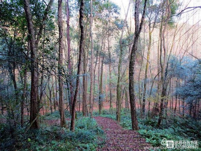 我是一池被禁足的河  第1张