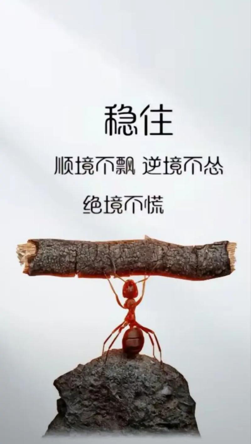 逆境中成长：分享一句让你坚强前行的励志名言  第1张