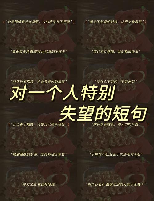 暗示自己特别失望的文案  第1张