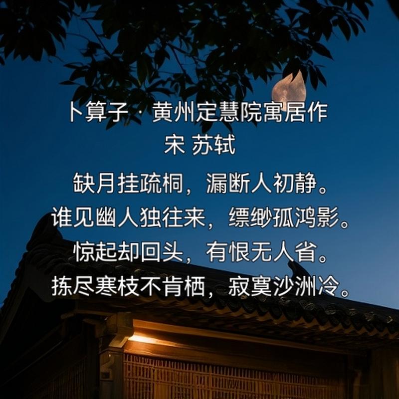 你若不独守凄凉，我亦不空乏寂寞  第1张