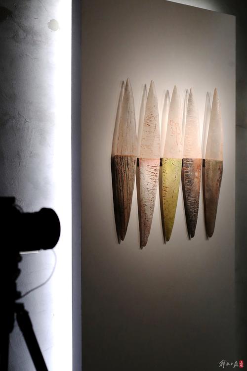 飞翔的眼睛  第1张