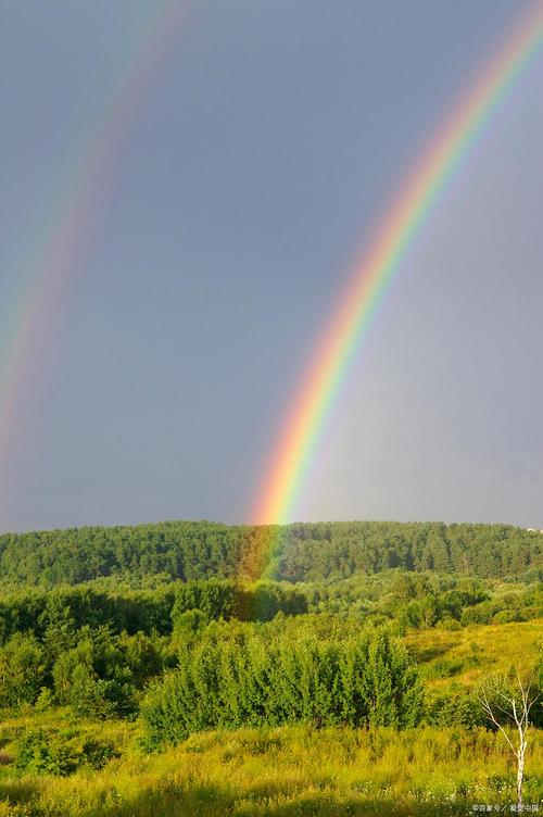 春的彩虹 第1张 春的彩虹 第1张
