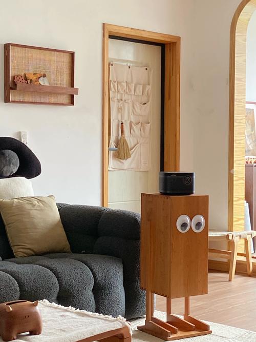 我家的“干扰台”  第1张