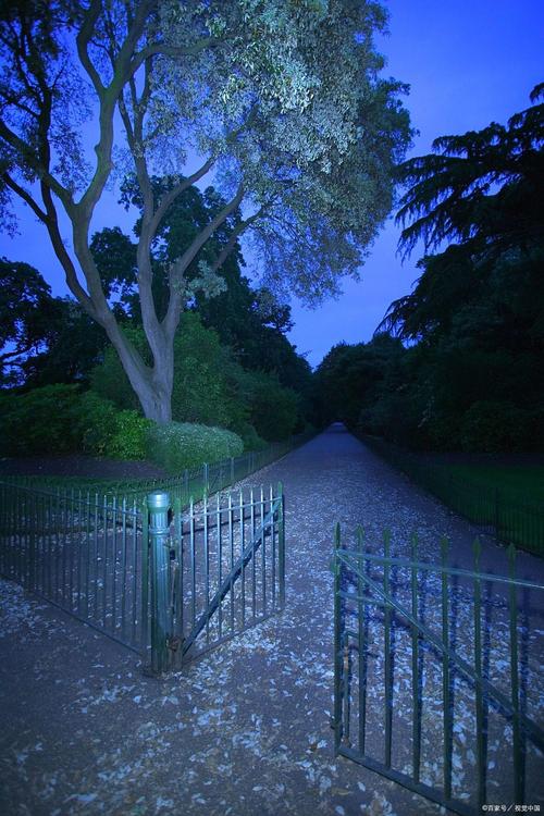 夏夜 第1张 夏夜 第1张