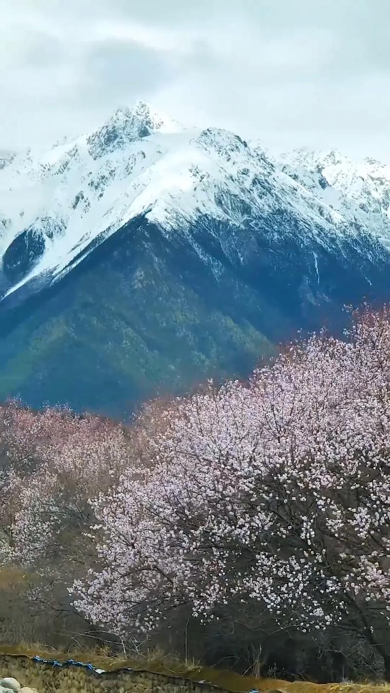 不能错过的风景  第1张