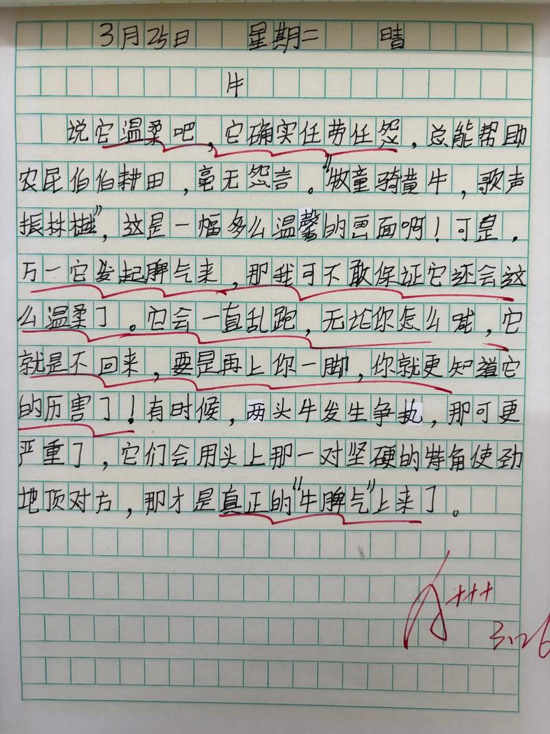 语文同步学投稿范文分享:动物篇——猫(含名师点评) 第1张 语文同步学投稿范文分享:动物篇——猫(含名师点评) 第1张