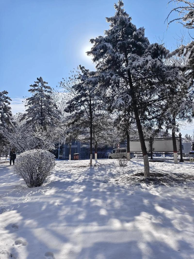 十二片雪  第1张