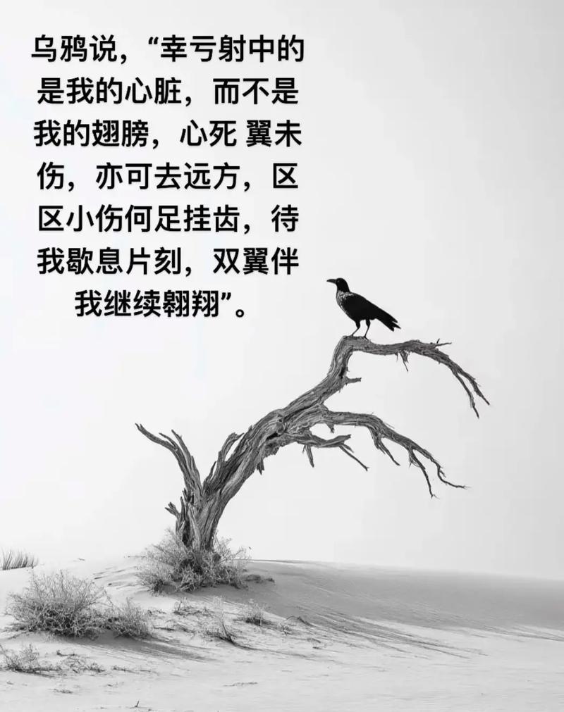 回首，心痛到荼蘼……  第1张