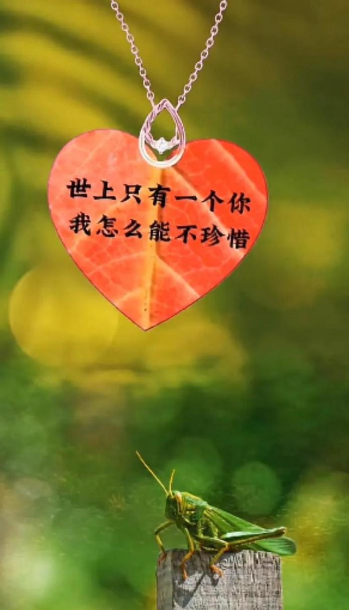 全世界只有一个你,你让我怎能不去珍惜 第1张 全世界只有一个你,你让我怎能不去珍惜 第1张