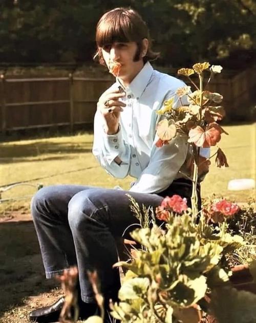 旧时光的旅行者  第1张