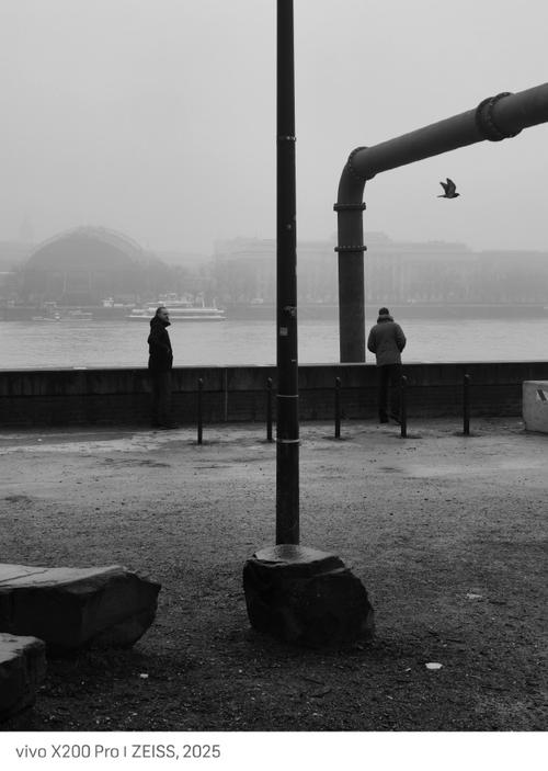 迷雾中的行走  第1张