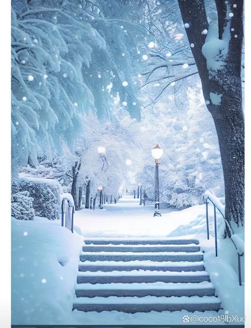 冬夜的风是牵挂  第1张