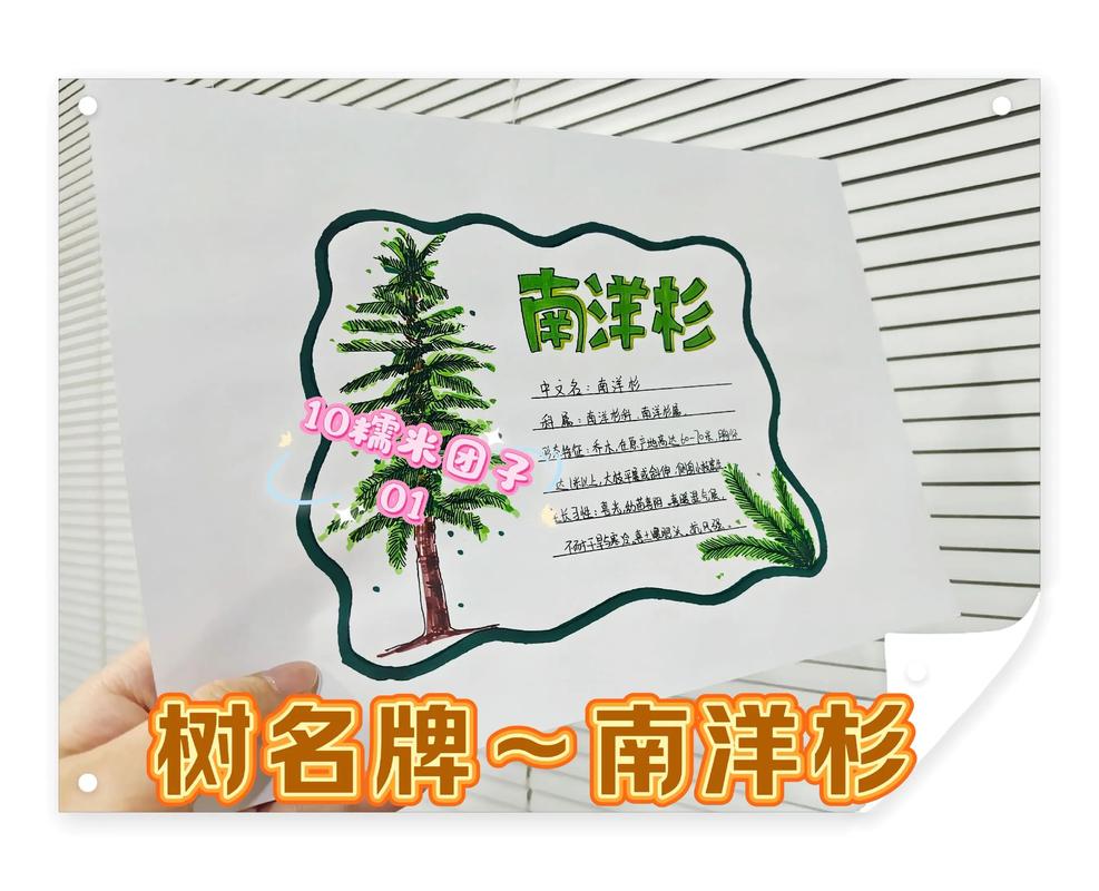 树枝与名片  第1张