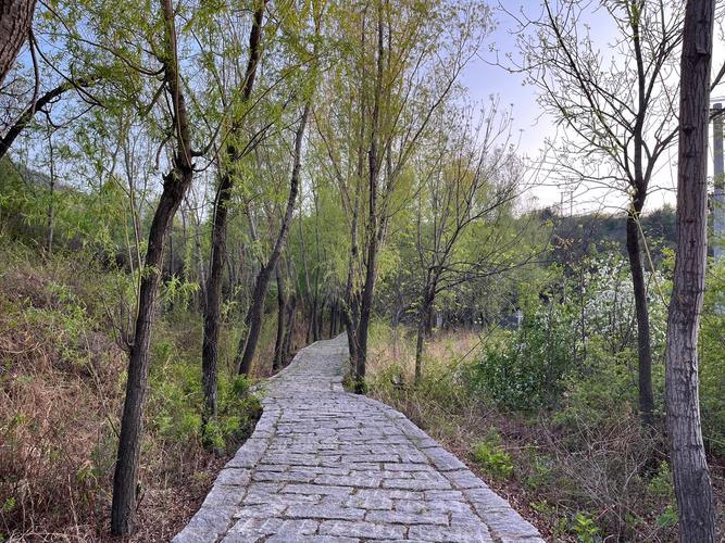 小路 第1张 小路 第1张