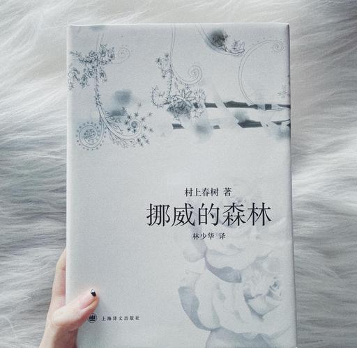 挪威的森林  第1张