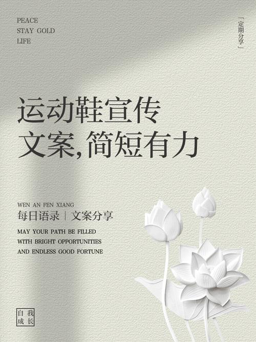 抖音上卖鞋的文案  第1张