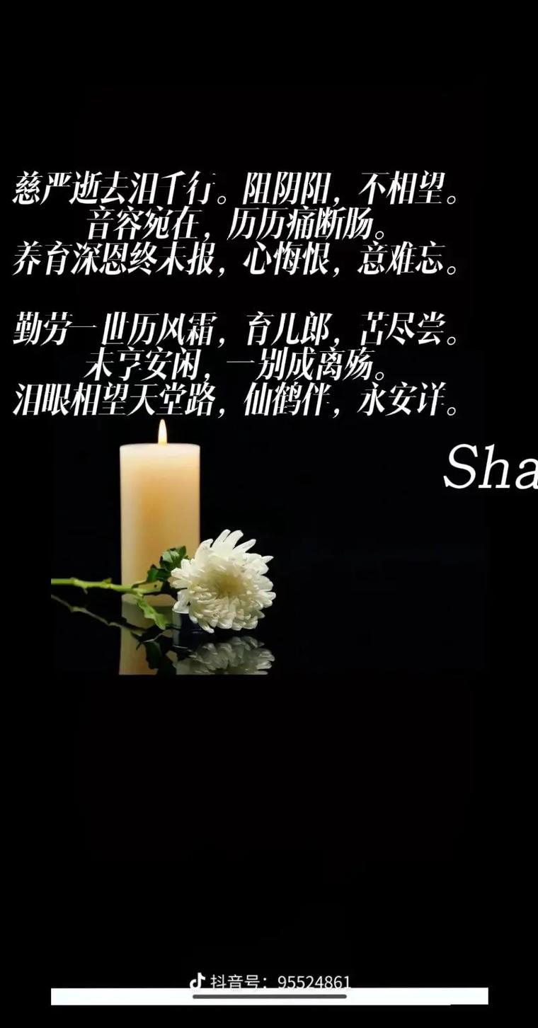 命运的一个梦―悼  第1张