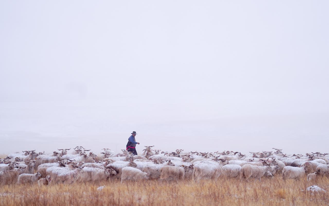 牧人走了  第1张