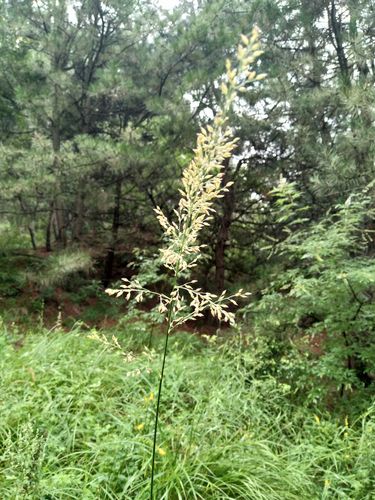 美的发现  第1张