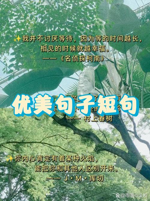 100句顶级绝美短句，顶级绝美短句精选100句  第1张