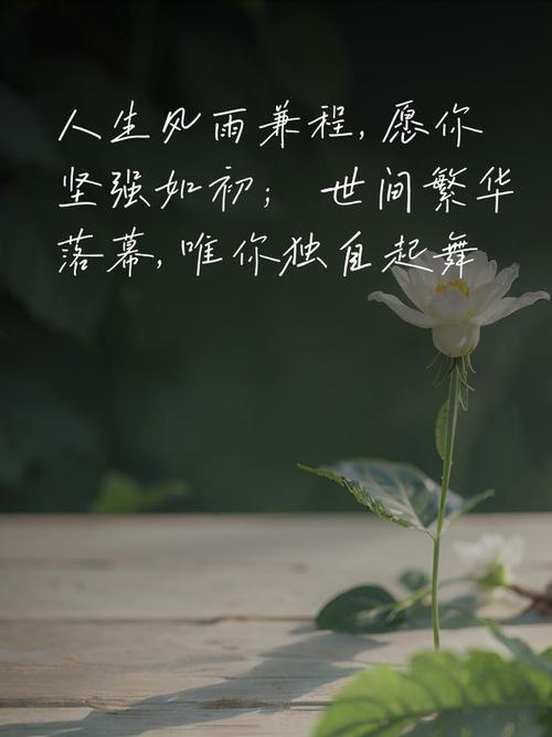 人生最佳短句，人生的最佳短句，珍惜当下，笑对未来。  第1张