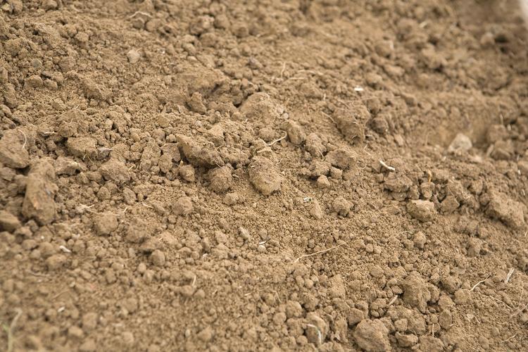 泥土上的飞奔 第1张 泥土上的飞奔 第1张