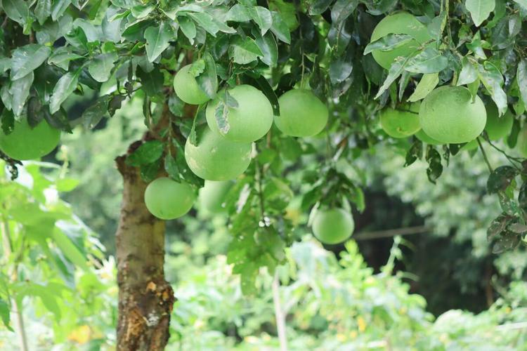 夏的颜色 第1张 夏的颜色 第1张