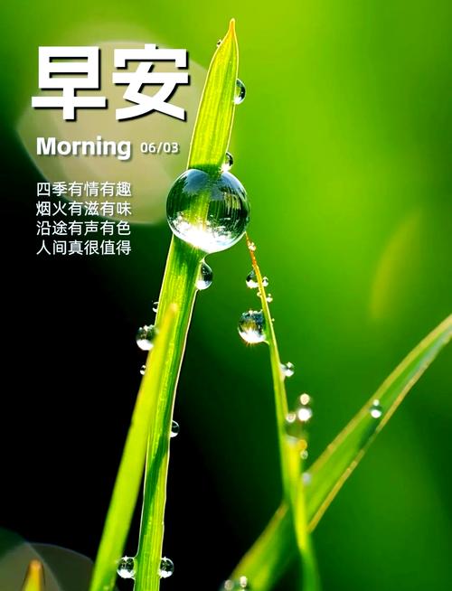 正能量激励人的好句子,正能量激励人生,勇往直前的力量之句 第1张 正能量激励人的好句子,正能量激励人生,勇往直前的力量之句 第1张