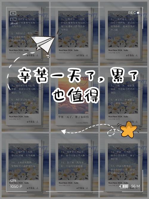 今日有感：辛苦  第1张