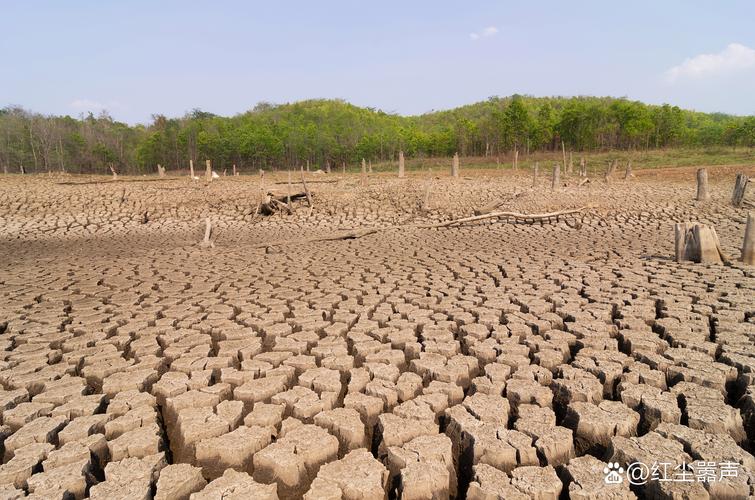 干旱  第1张