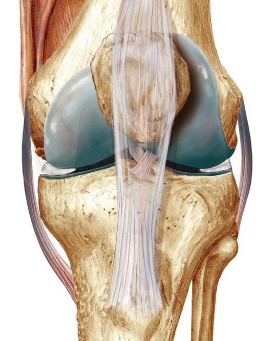 行凉仗痛  第1张