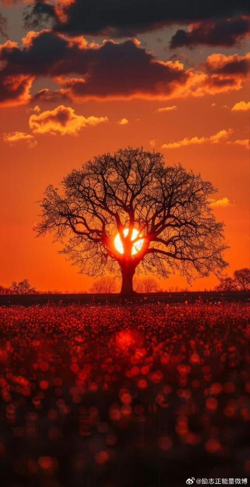 一种心境，心境的诠释  第1张