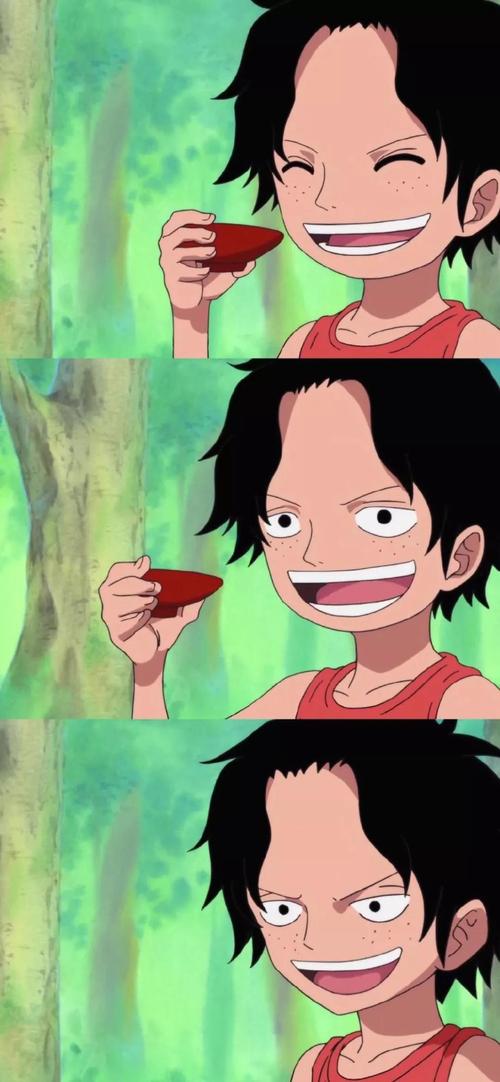 《航海王》中青春燃烧的台词!重温这些年的感动 第1张 《航海王》中青春燃烧的台词!重温这些年的感动 第1张