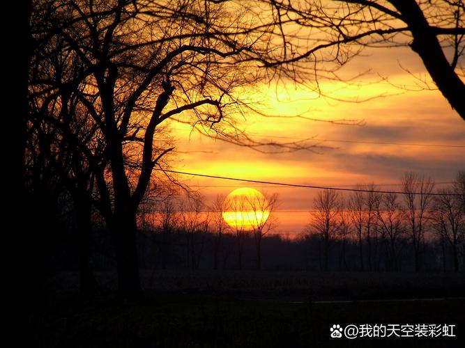 在秋季还留有余辉的傍晚  第1张