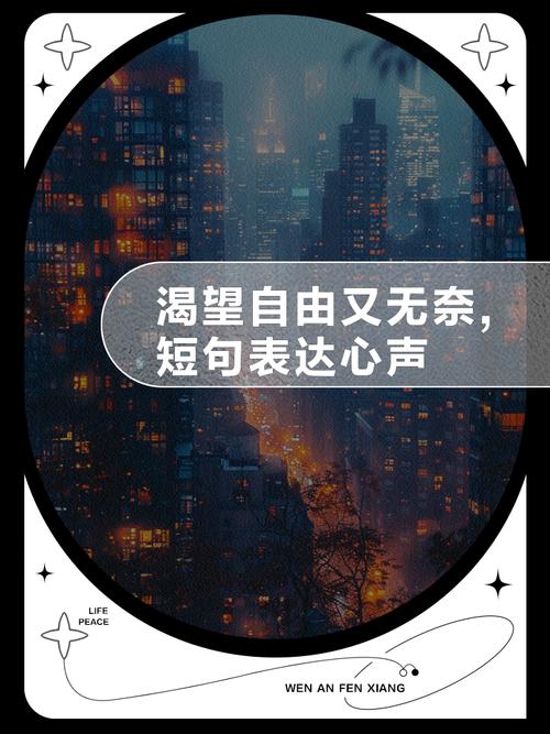 抓不住的自由  第1张