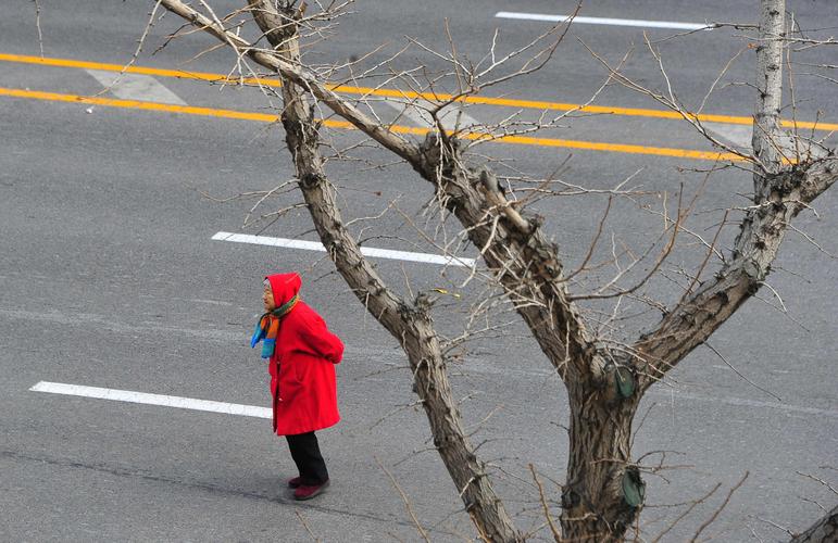 徘徊 第1张 徘徊 第1张