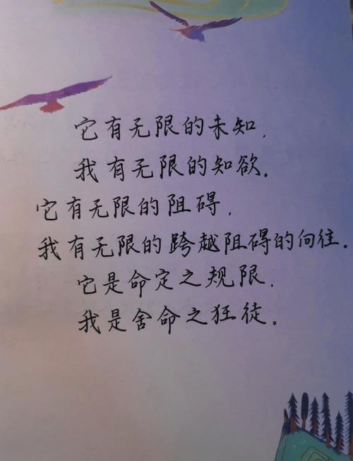 句透人生经典语录，人生箴言，经典语录洞悉生活真谛  第1张