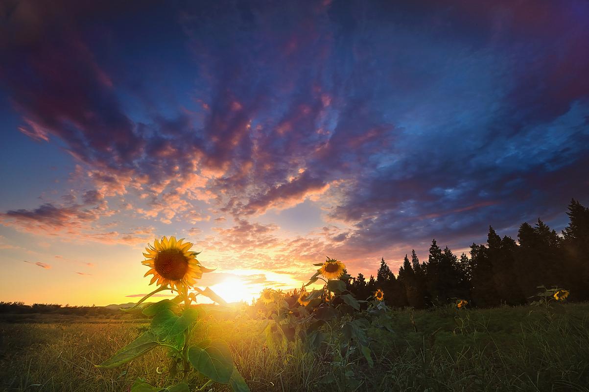 那片阳光美得那么动人  第1张