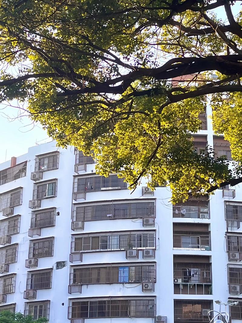 每个人都是一棵树 第1张 每个人都是一棵树 第1张