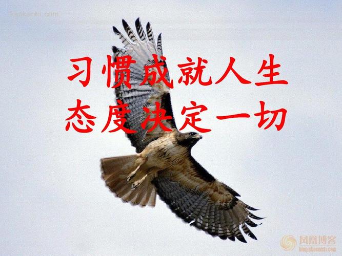 大气是一种人生态度  第1张