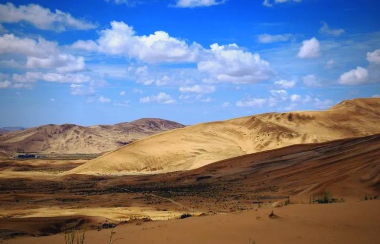 沙漠的惊艳 第1张 沙漠的惊艳 第1张