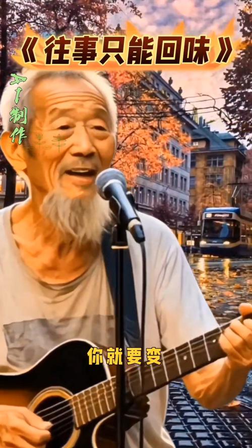 那些“流浪歌手”  第1张